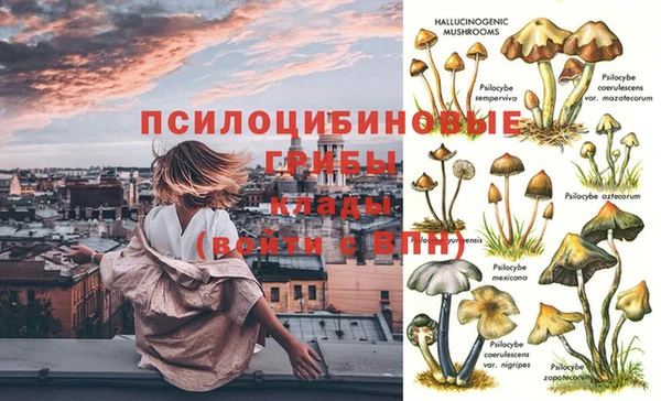герыч Алзамай