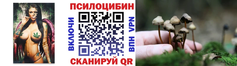Псилоцибиновые грибы GOLDEN TEACHER  Дюртюли 